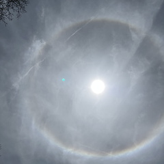 23-05-21 13-25-30 5520